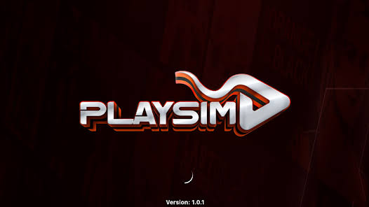 PlaySim